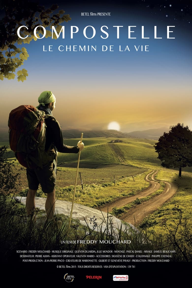 Poster of Compostelle, le chemin de la vie