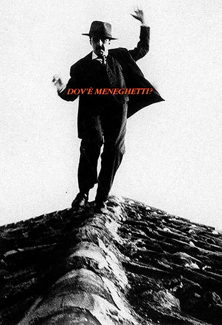 Poster of Dov'è Meneghetti?