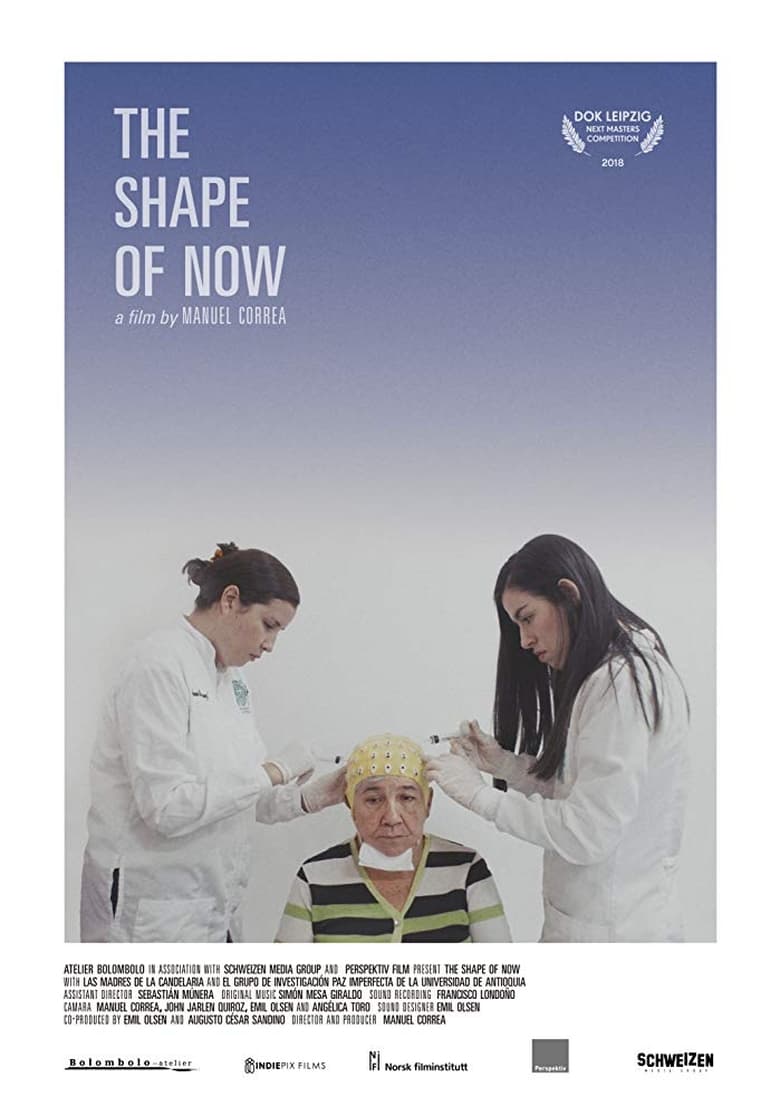 Poster of The Shape of Now