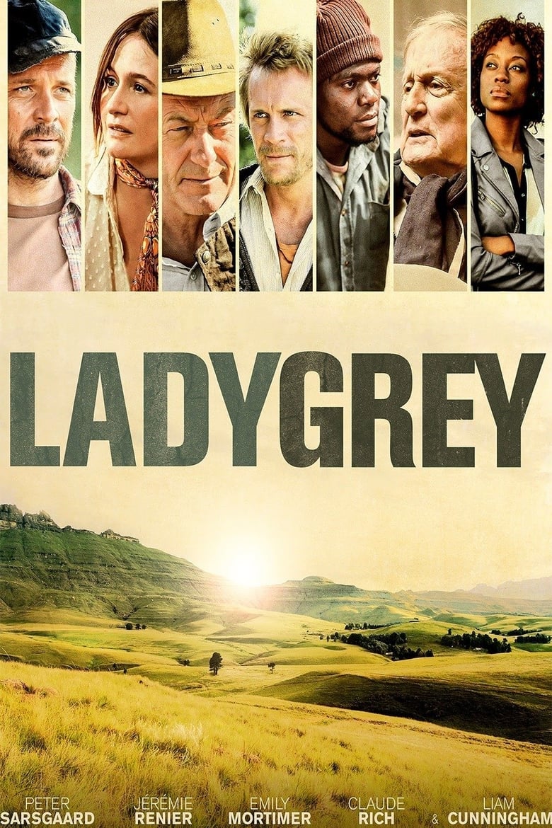 Poster of Ladygrey