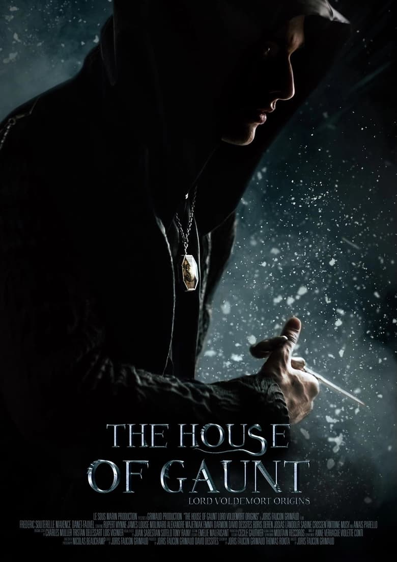 Poster of The House of Gaunt