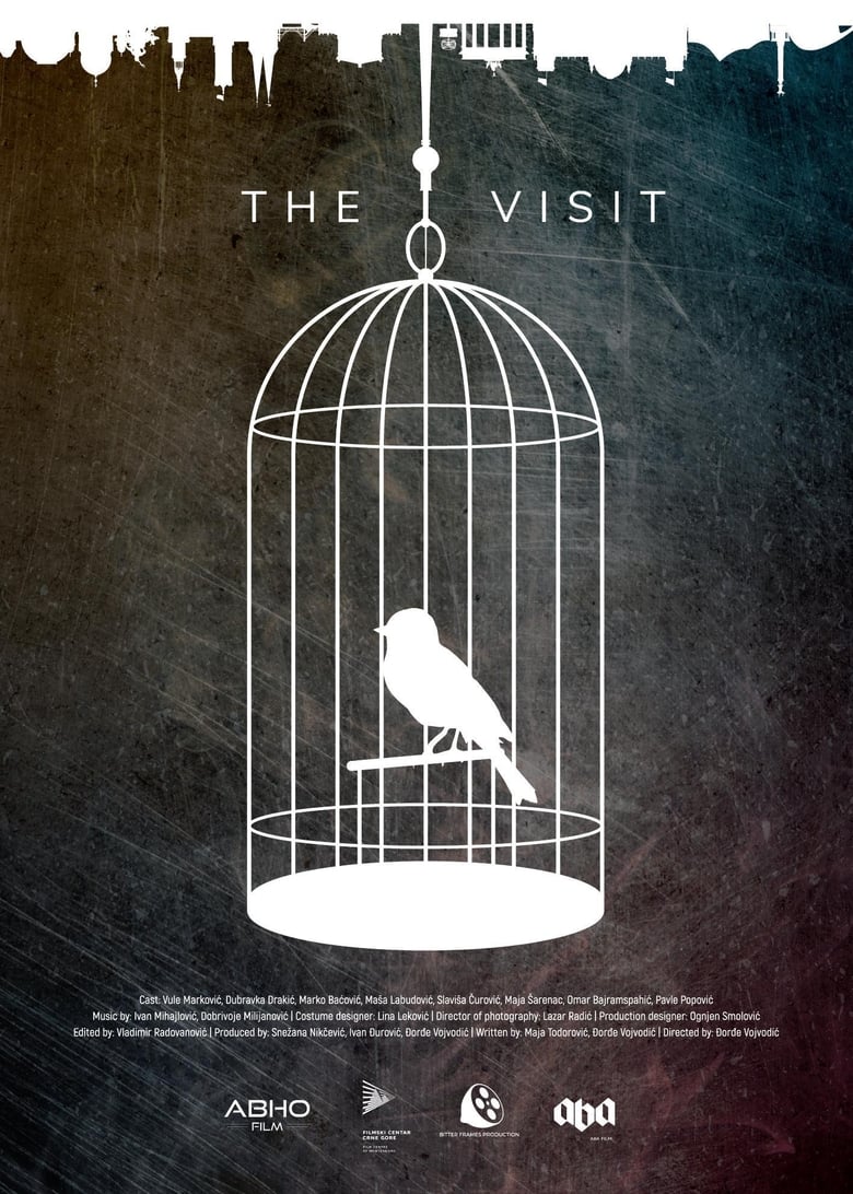 Poster of The Visit