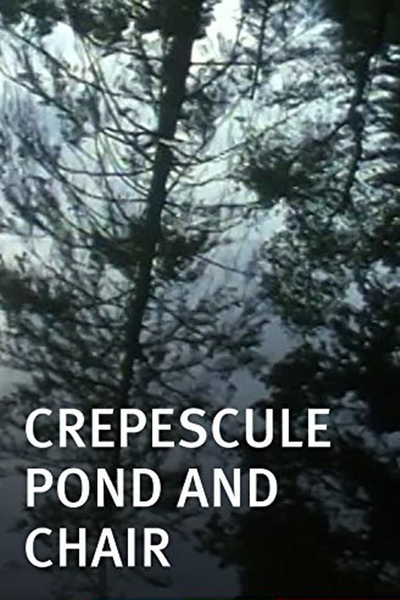 Poster of Crepescule Pond and Chair