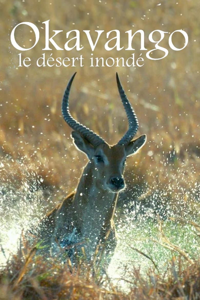 Poster of Kalahari: The Flooded Desert