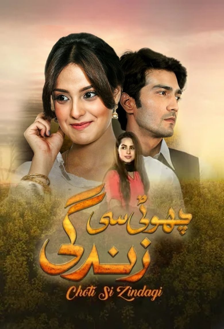 Poster of Choti Si Zindagi