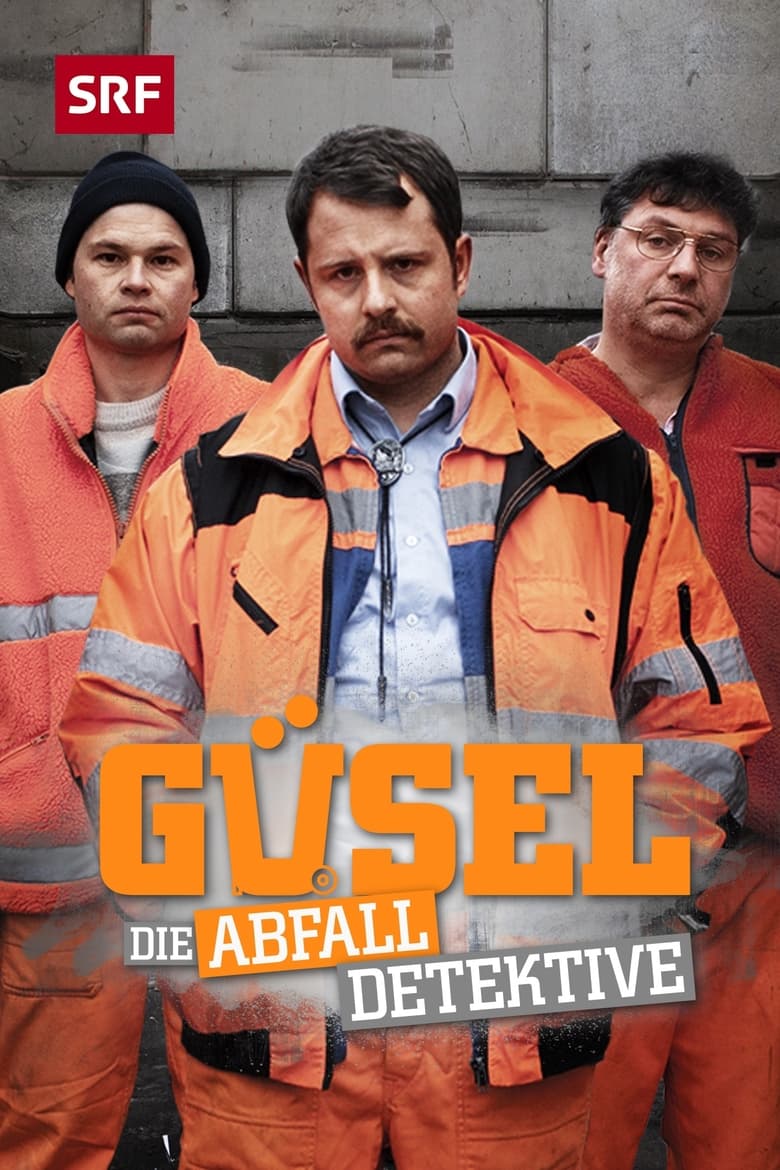 Poster of Güsel