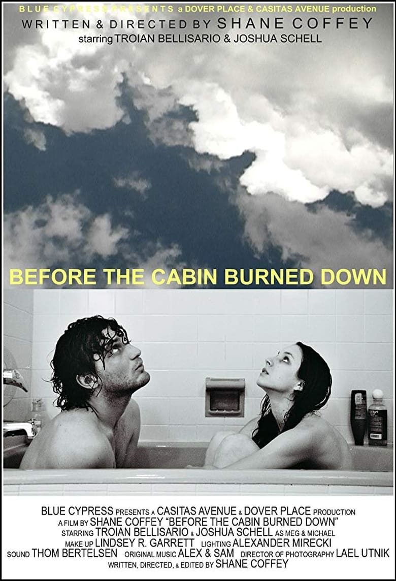 Poster of Before the Cabin Burned Down