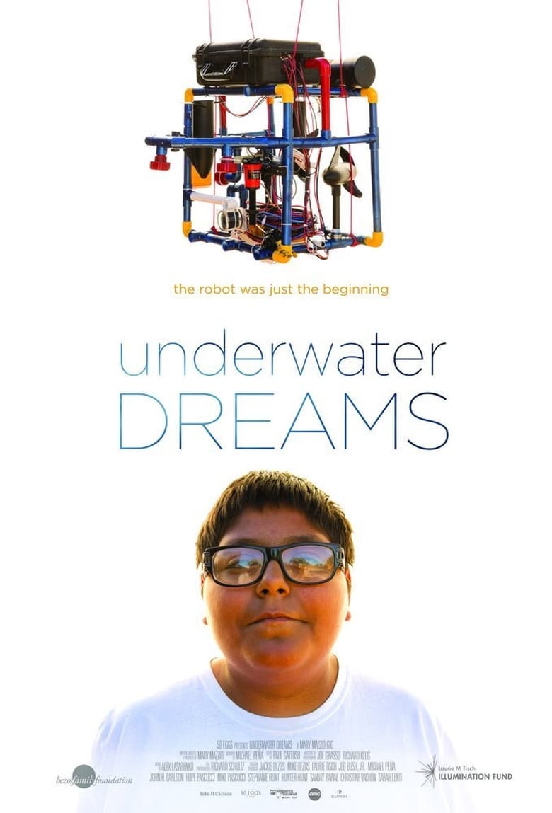 Poster of Underwater Dreams