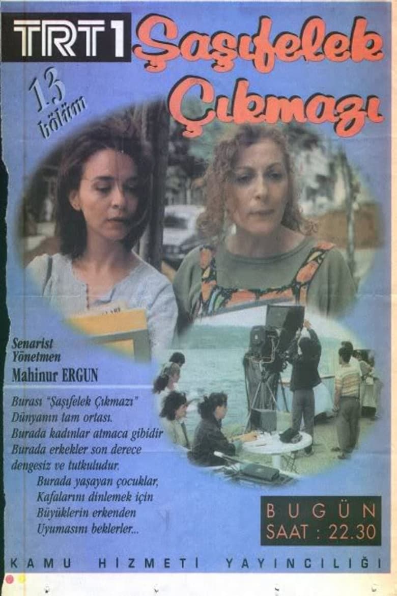 Poster of Şaşıfelek Çıkmazı