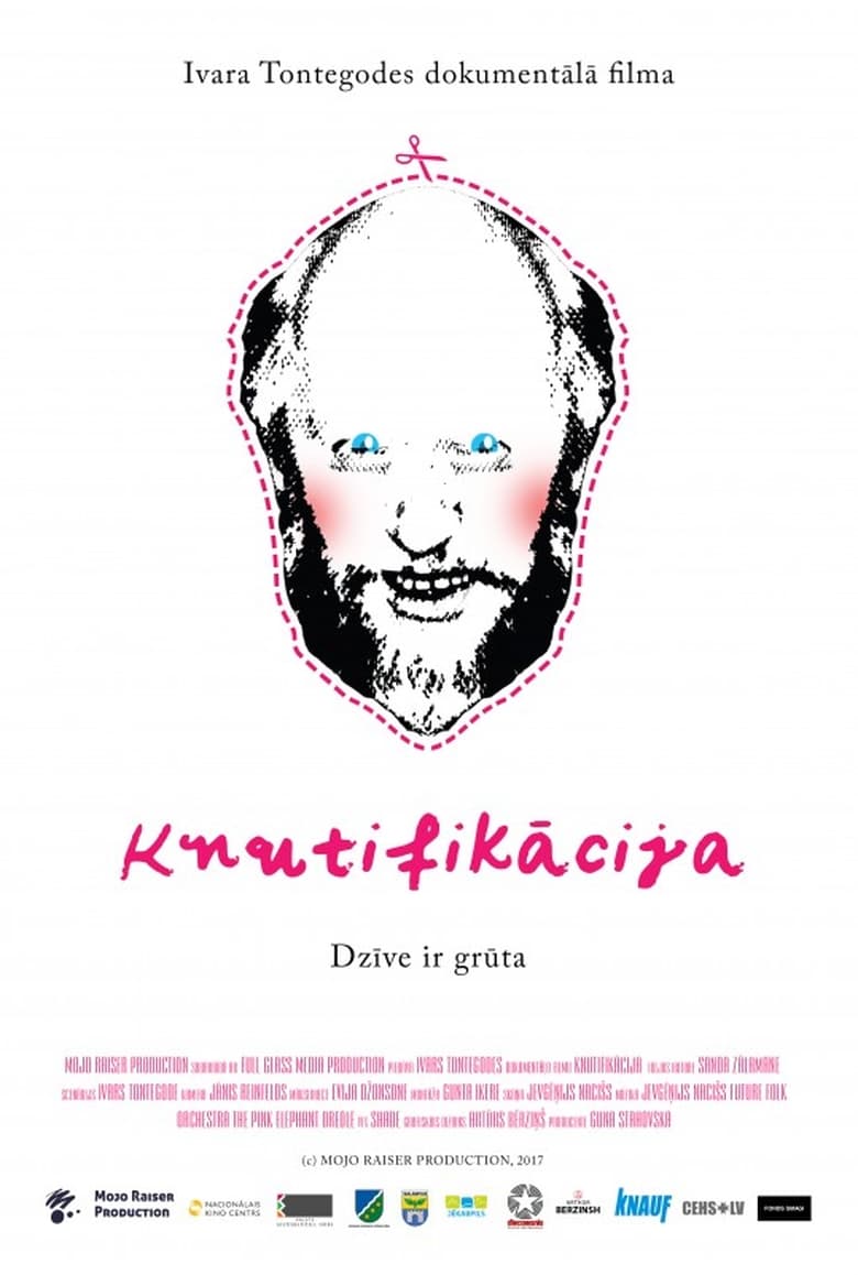 Poster of Knutifiction