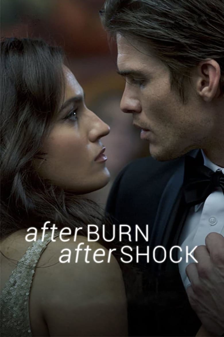 Poster of Afterburn/Aftershock