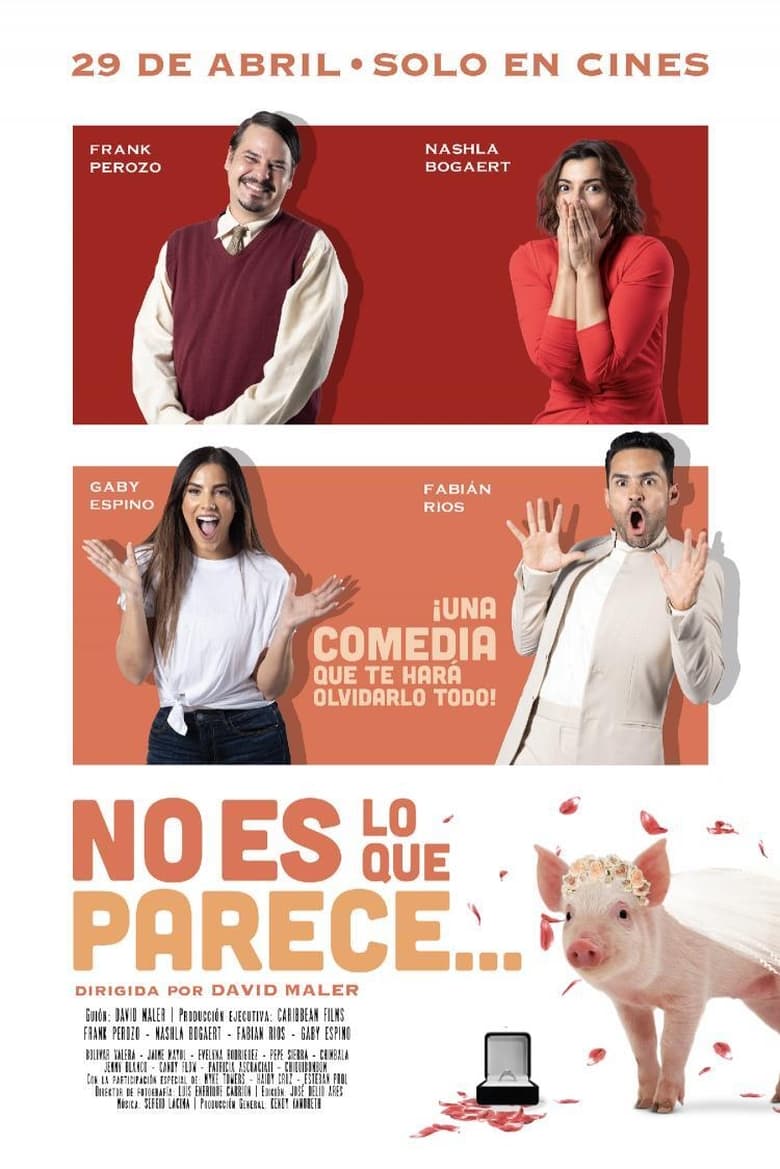 Poster of No es lo que parece