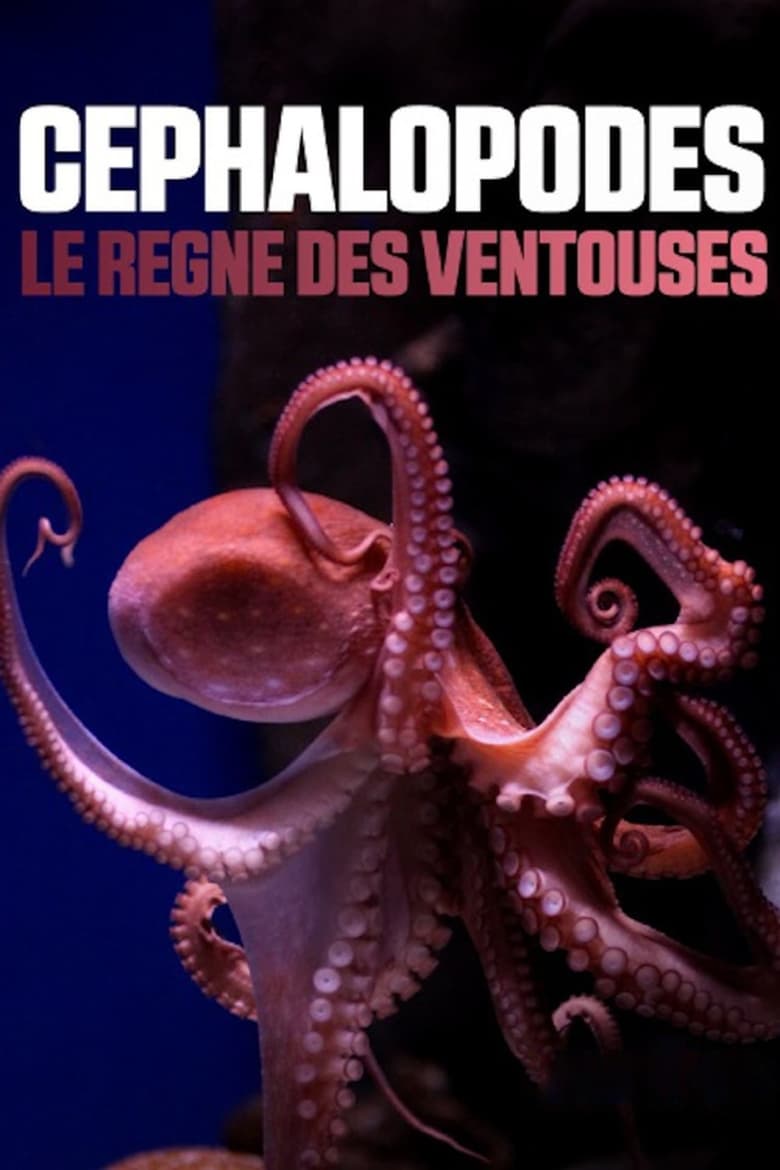 Poster of Cephalopods: The Reign of Suckers