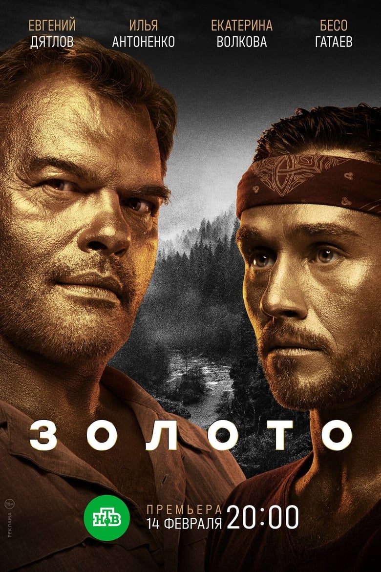 Poster of Золото