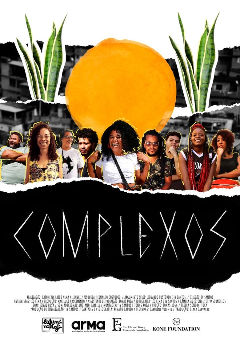 Poster of Complexes