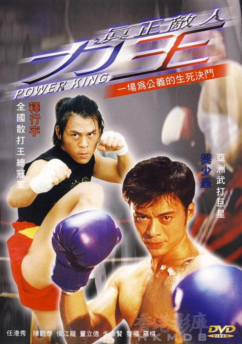 Poster of Power King