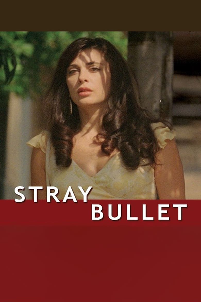 Poster of Stray Bullet