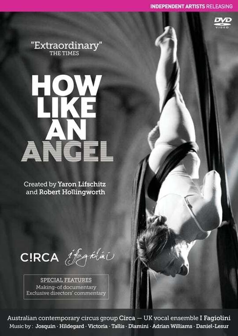 Poster of How Like An Angel