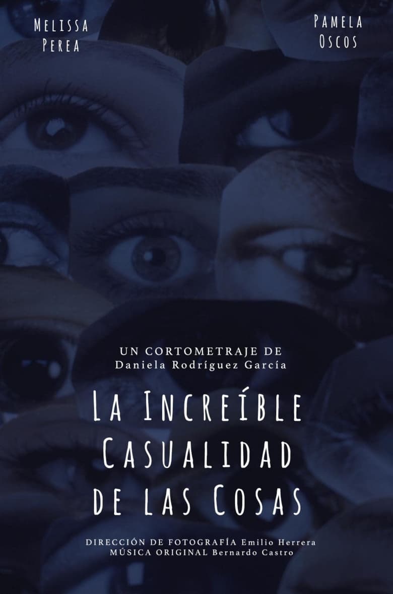 Poster of La Increíble Casualidad de las Cosas