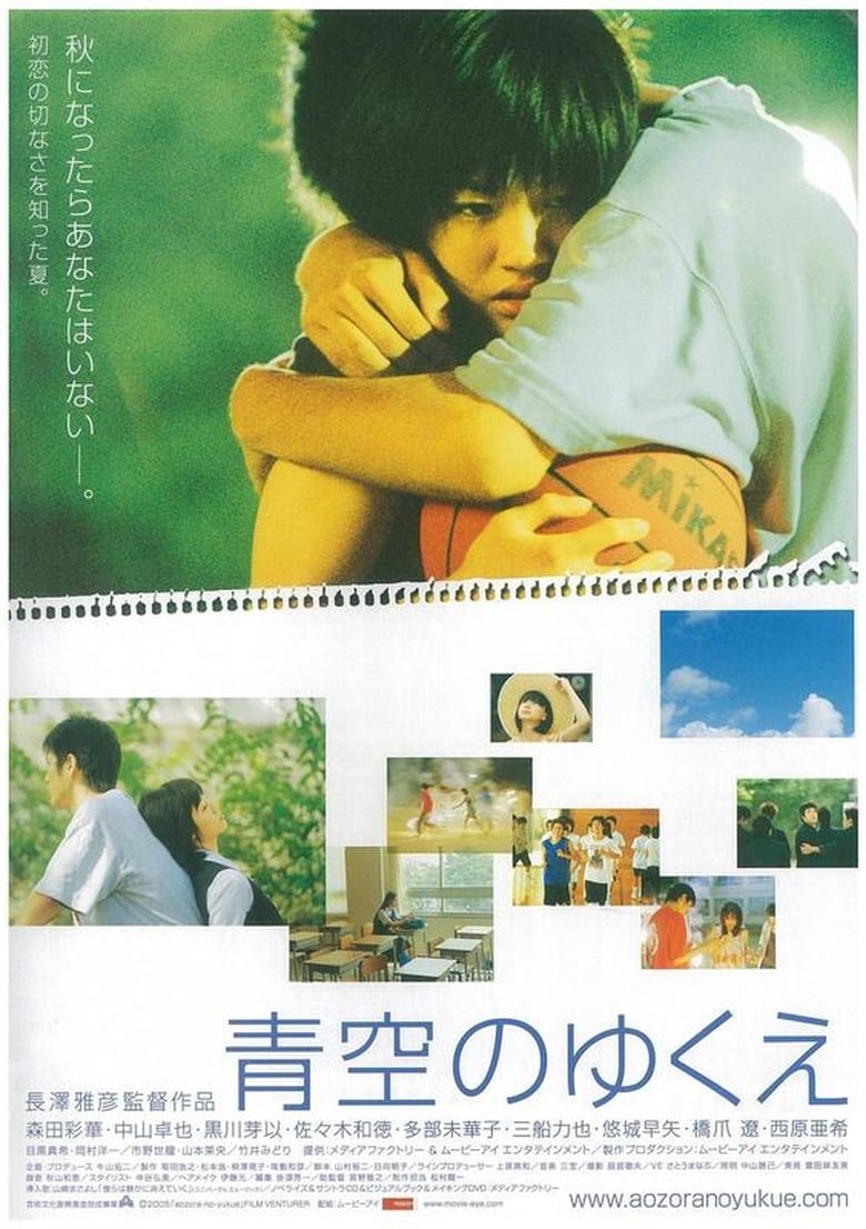 Poster of Way of Blue Sky