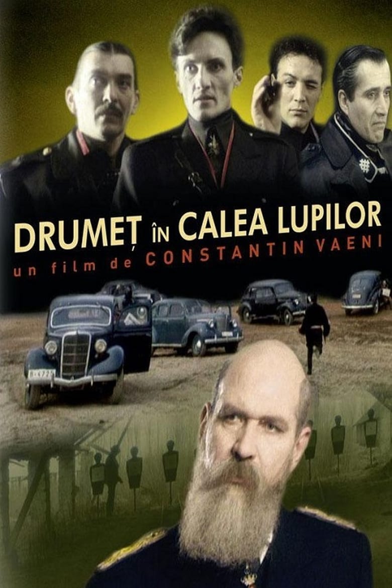 Poster of Drumeț în calea lupilor