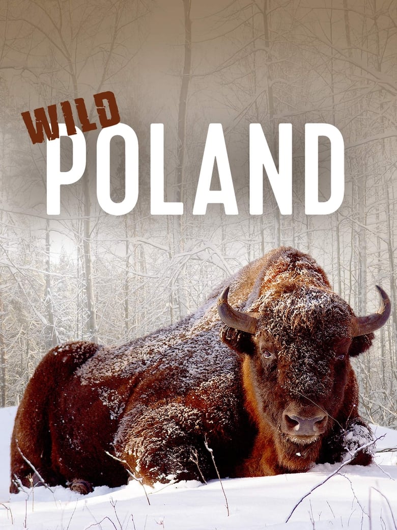 Poster of Wild Poland