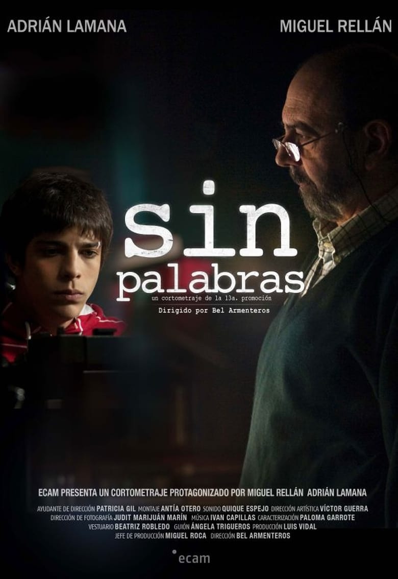 Poster of Sin palabras