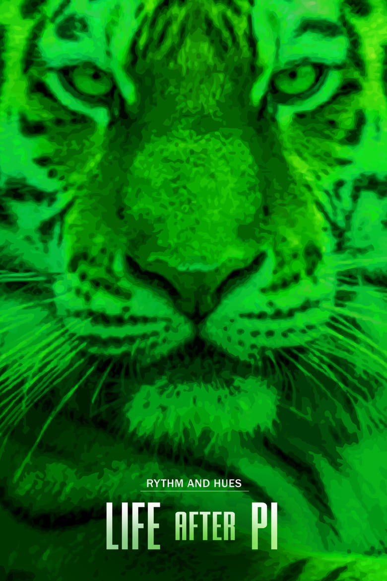 Poster of Life After Pi