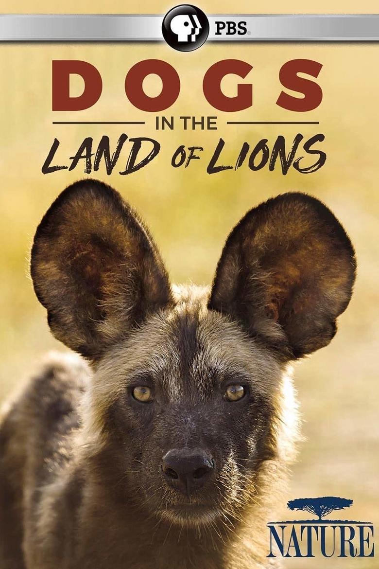 Poster of Dogs in the Land of Lions