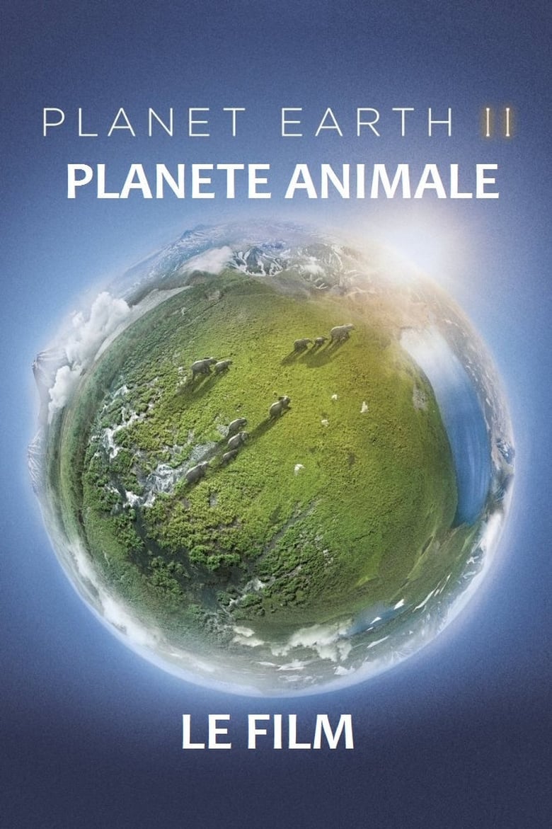 Poster of Planète animale 2 : Survivre