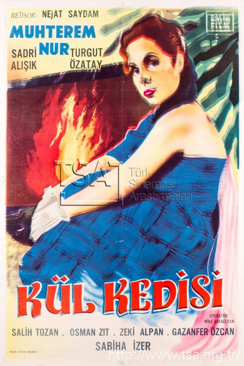 Poster of Kül Kedisi