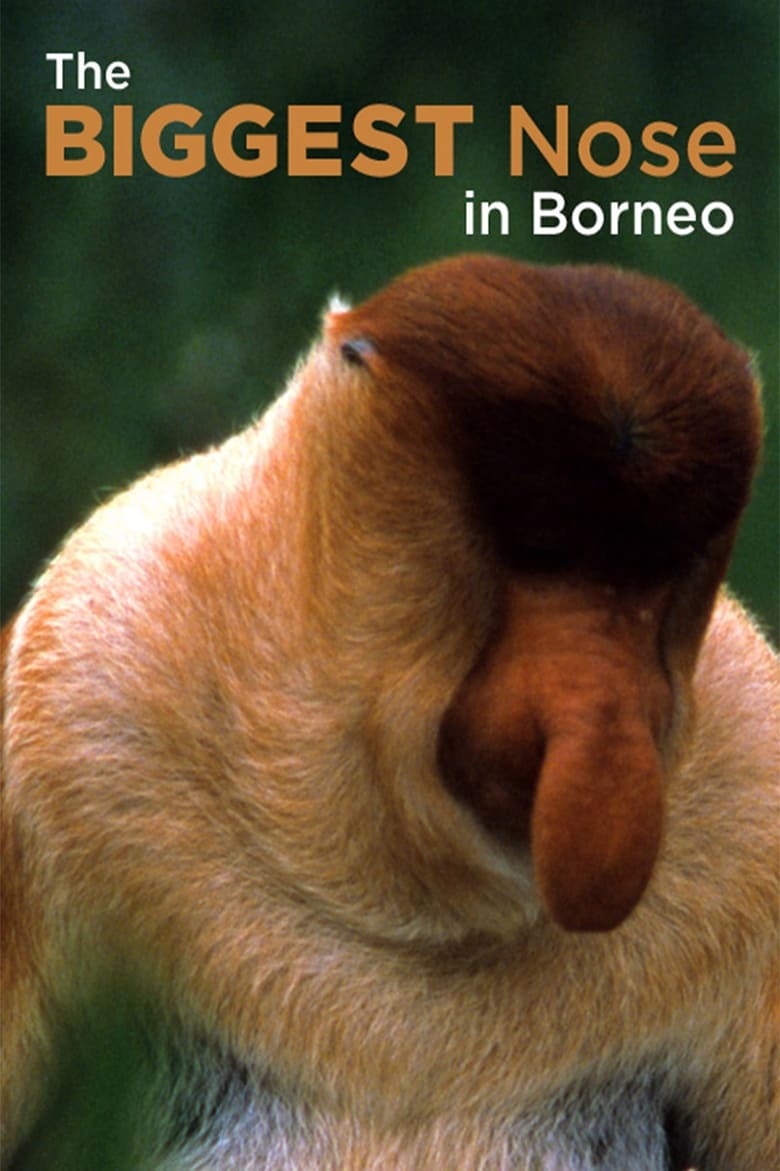 Poster of The Biggest Nose in Borneo