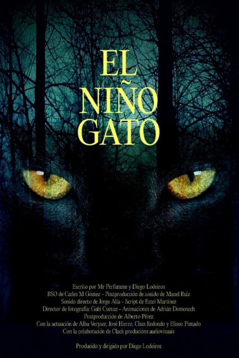 Poster of El niño gato