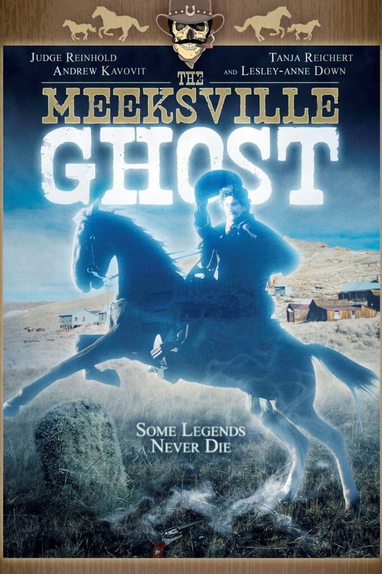 Poster of The Meeksville Ghost