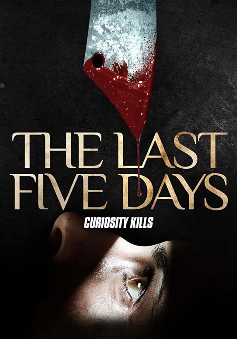 Poster of The Last Five Days