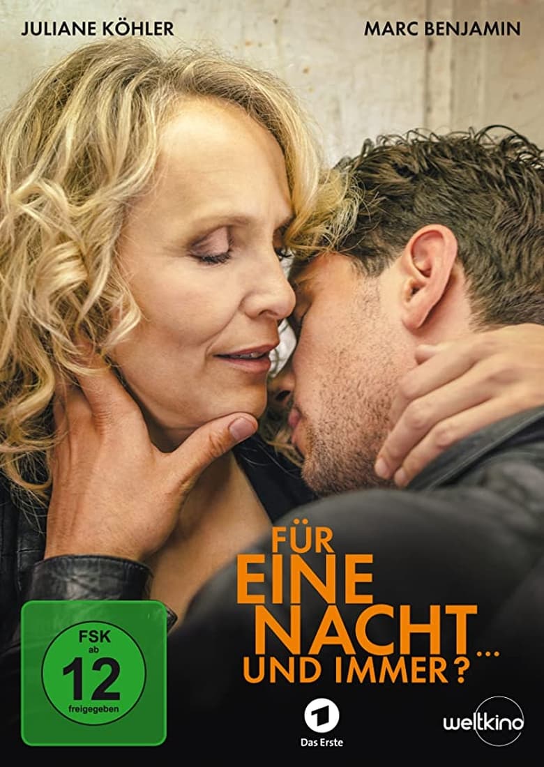 Poster of Für eine Nacht... und immer?