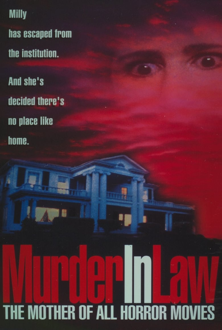 Poster of Murder in Law