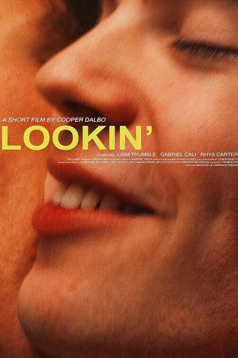 Poster of Lookin'