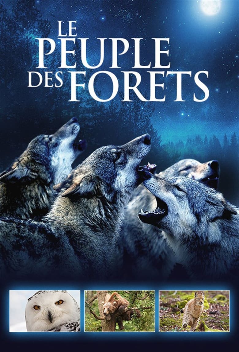 Poster of Episodes in Le Peuple Des Forêts - Season 1 - Season 1