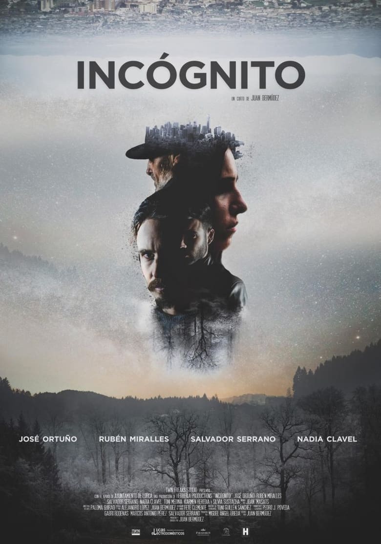 Poster of Incógnito