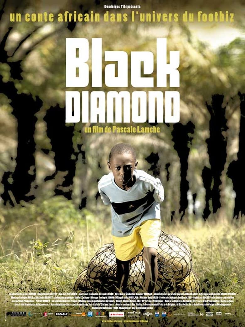 Poster of Black Diamond