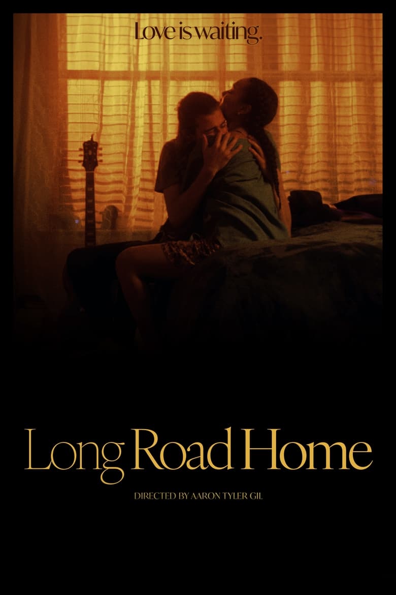 Poster of Long Road Home