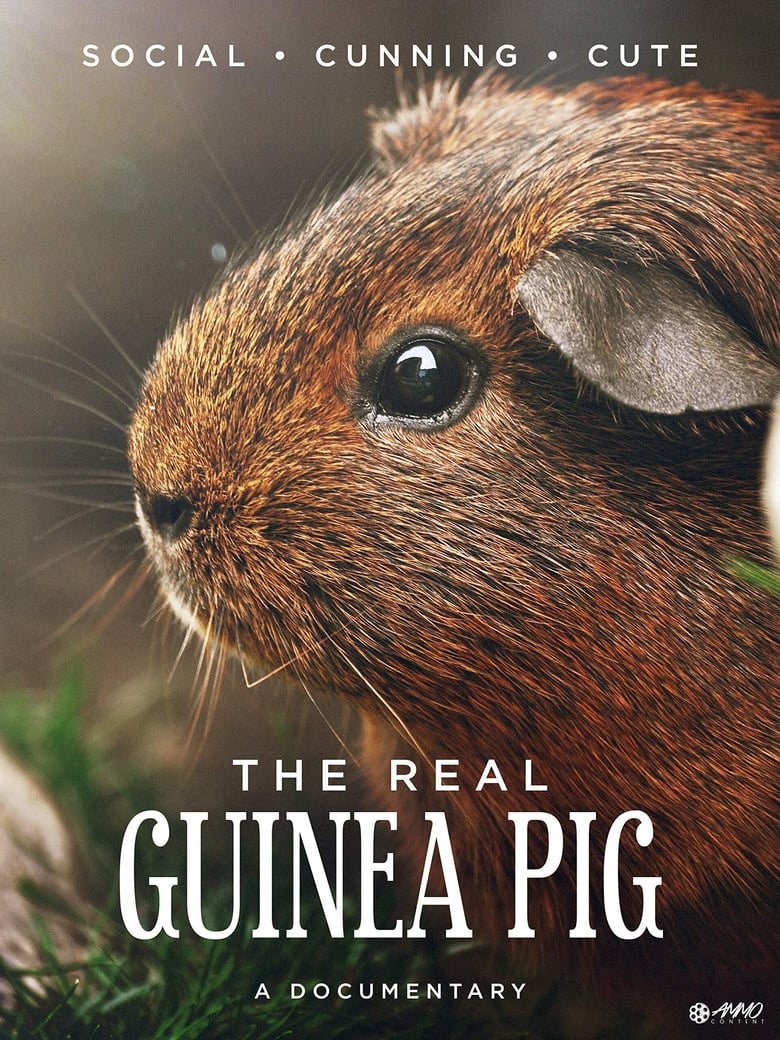 Poster of The Real Guinea Pig