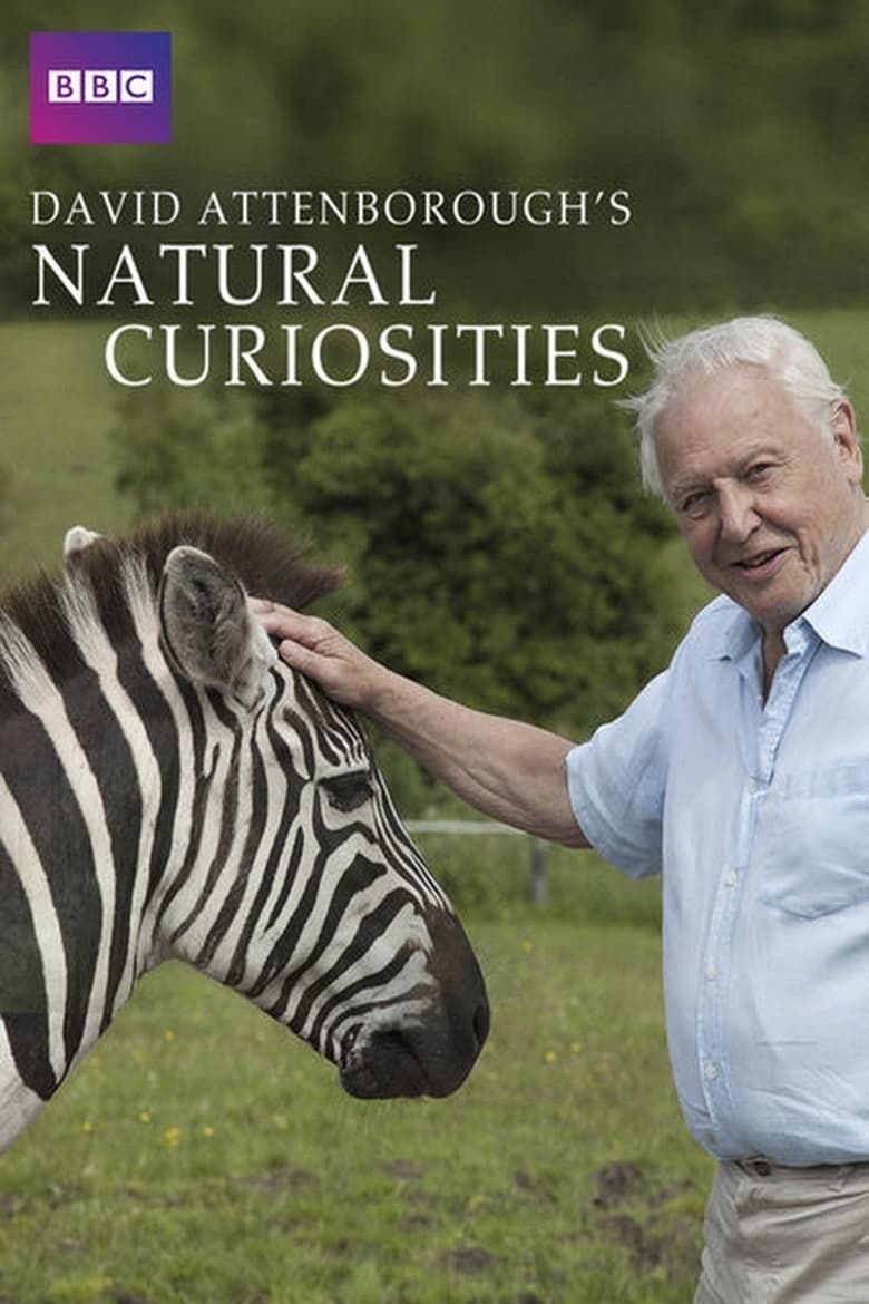 Poster of David Attenborough's Natural Curiosities