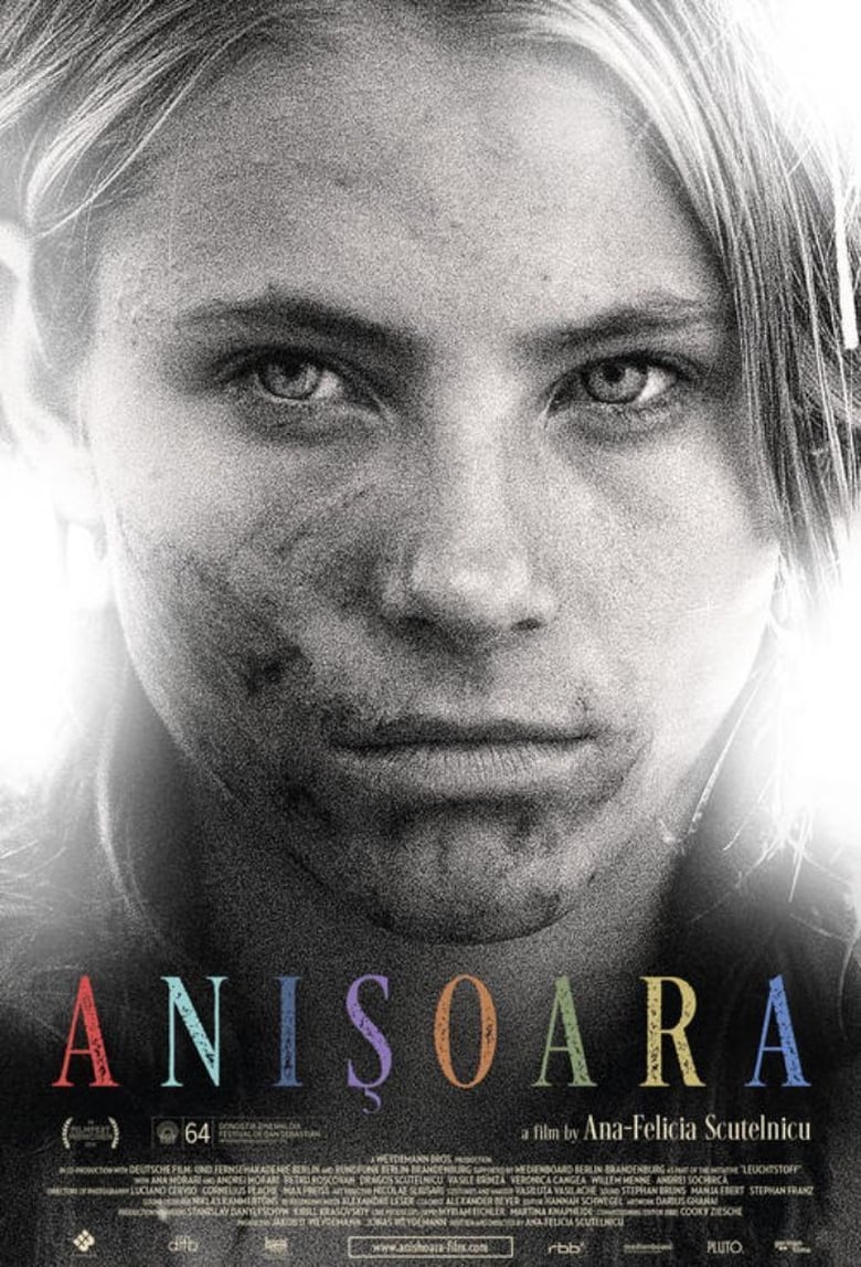 Poster of Anishoara