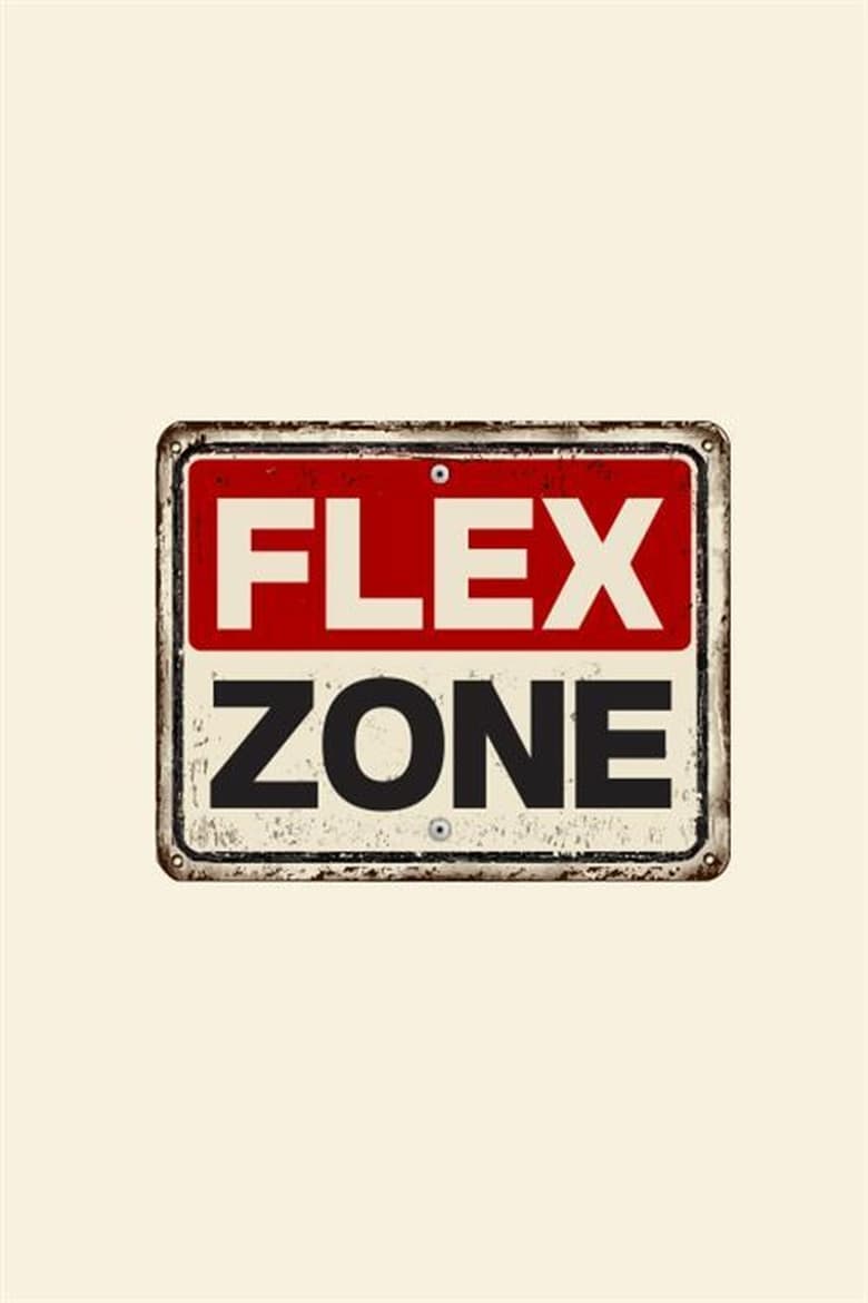 Poster of FLEX ZONE