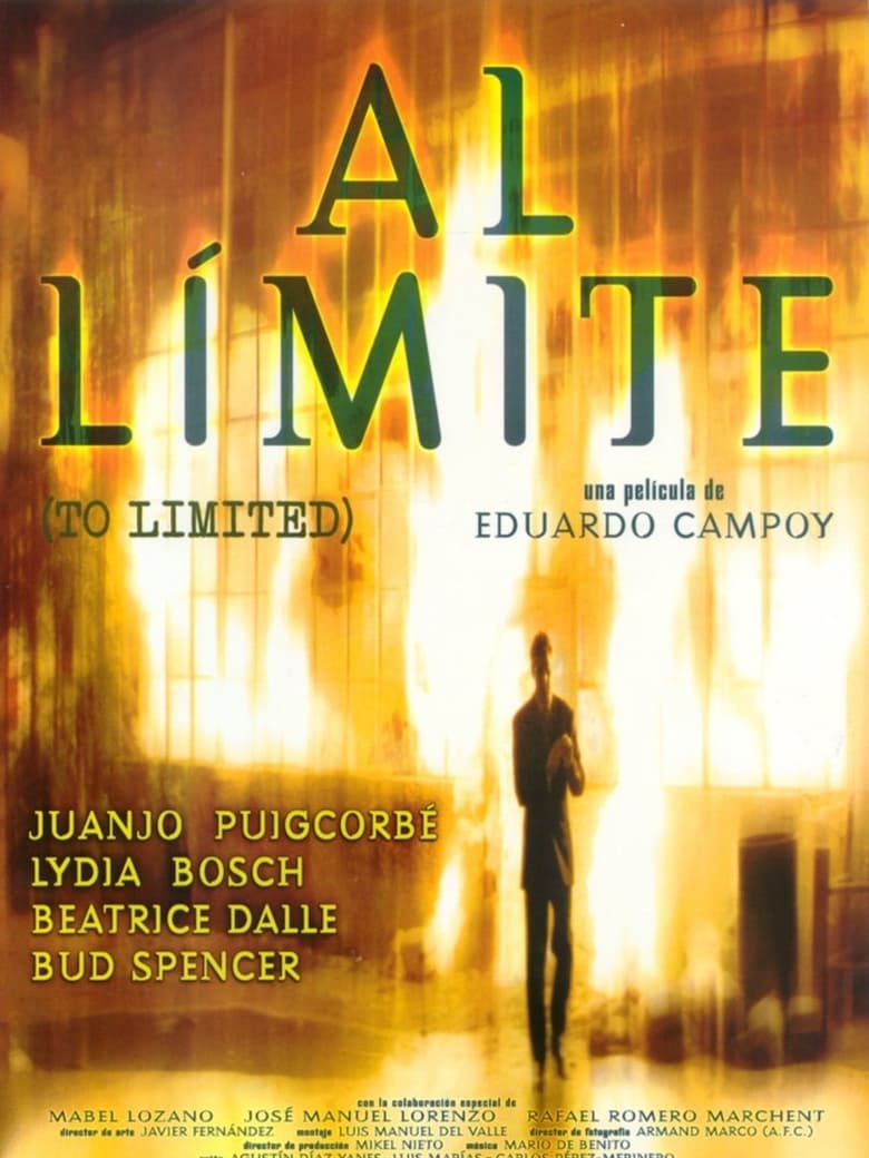 Poster of To the Limit