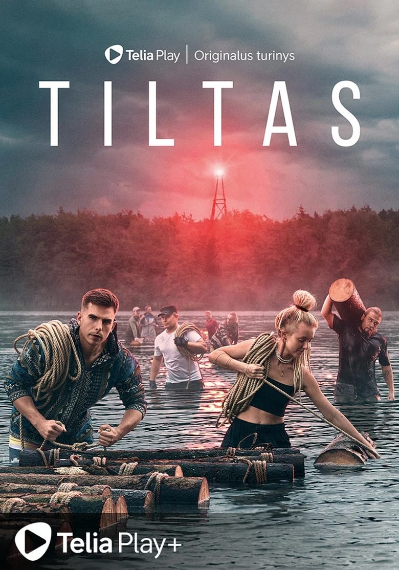 Poster of Tiltas