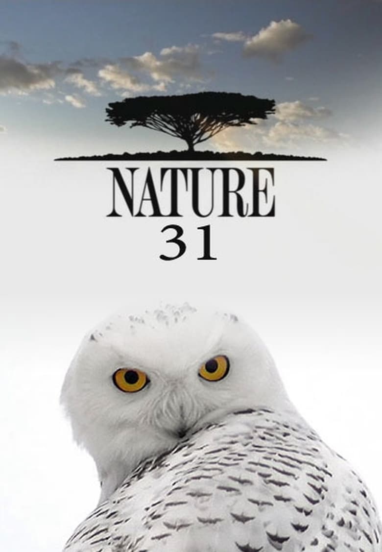 Poster of Cast and Crew in Nature - Season 31 - Episode 5 - Attenborough's Life Stories: Life on Camera