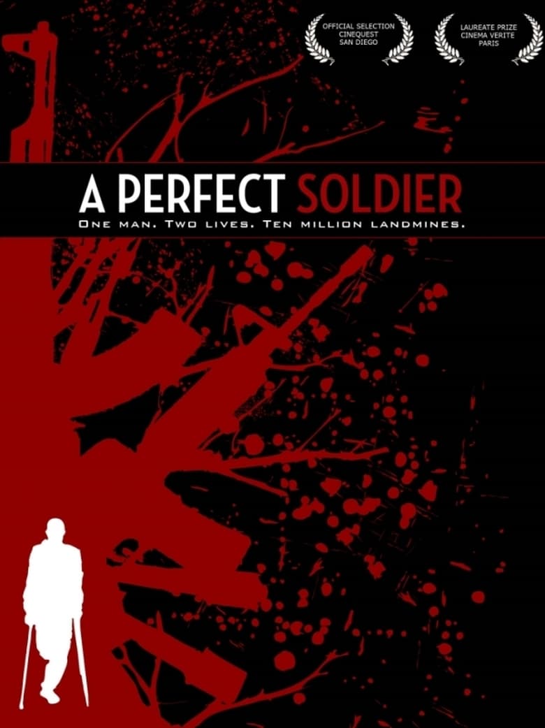 Poster of A Perfect Soldier